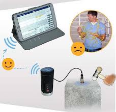 Wireless Pile Integrity Tester (P.I.T) P8000